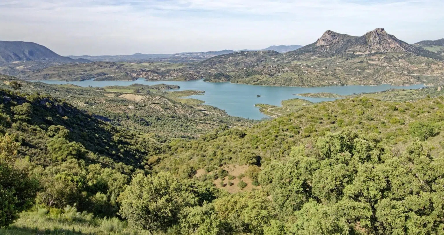 Pinsanar de grazalema